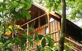 Bayrams Tree Houses 2*